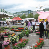 stand de vente sur le parking du Glacis