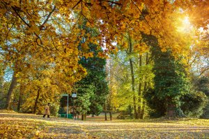 parc municipal de la Ville en automne