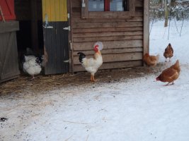 activités-nature _ enfants et animaux