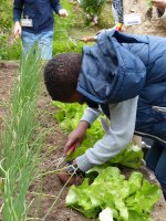 activités-nature _ jardinage enfants