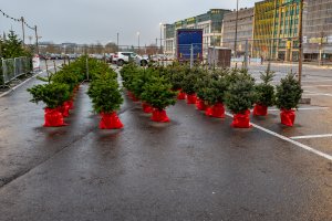 vente des sapins 2021