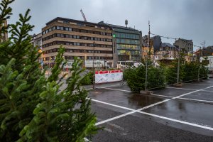 vente des sapins 2021