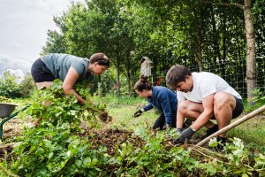 Photo d'un jardin communautaire pendant que les gens y travaillent