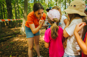 Image d'enfants en train de jouer dans la forêt