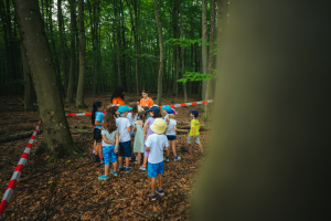 Image d'enfants en train de jouer dans la forêt