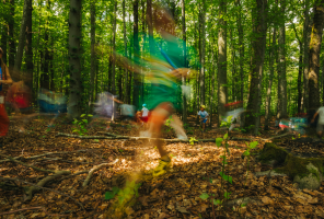 Image d'enfants en train de jouer dans la forêt