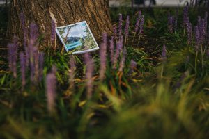 Photo de la brochure dans la nature, près d'un arbre