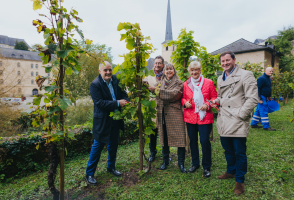 Image du collège échevinal à coté des vignobles