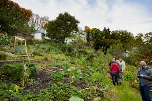 prise de vue du jardin communautaire 