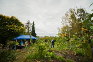 prise de vue du jardin communautaire 