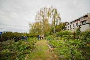 prise de vue du jardin communautaire 