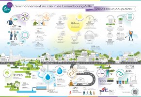 Rapport environnemental : Poster infographie