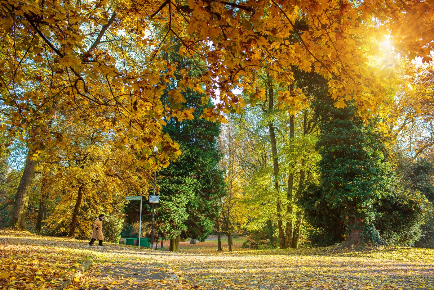 parc municipal de la Ville en automne