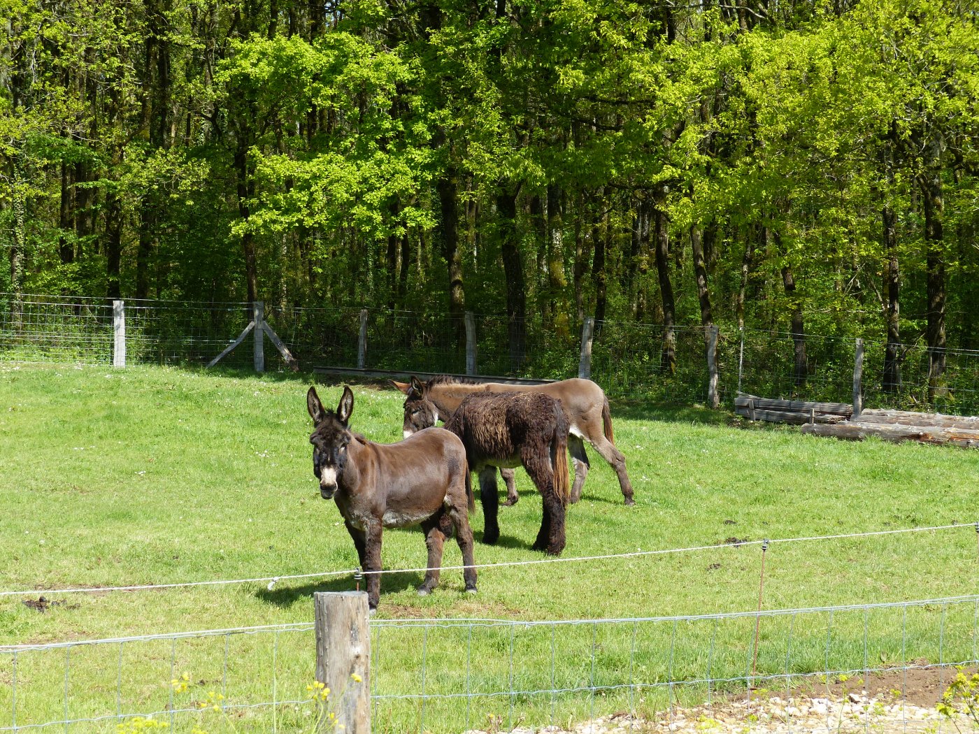 Centre nature_Kockelscheuer