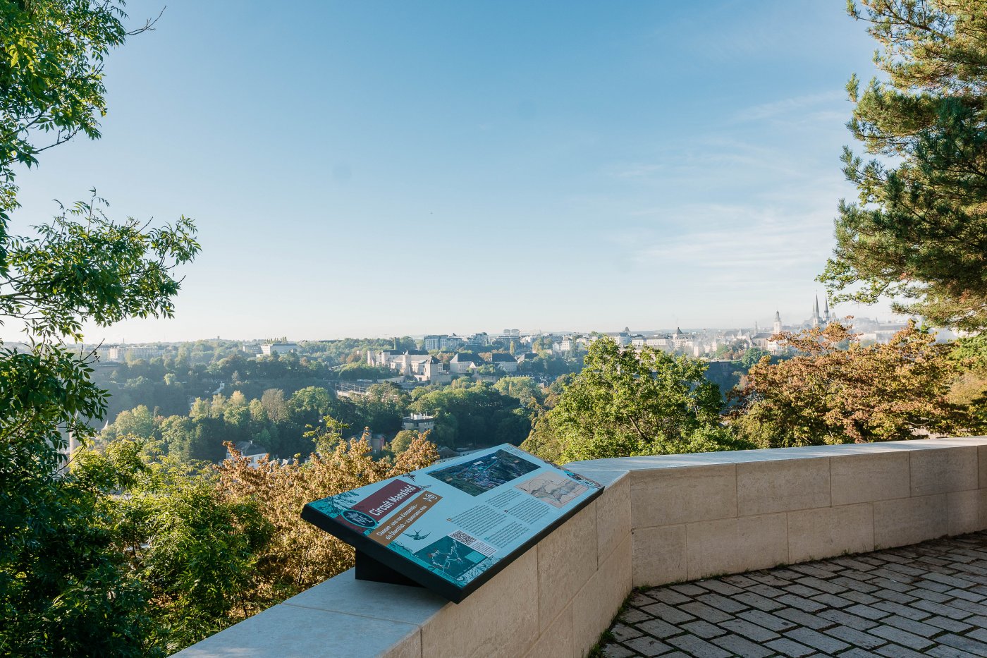 Vue du Kirchberg envers le Pfaffnetahl