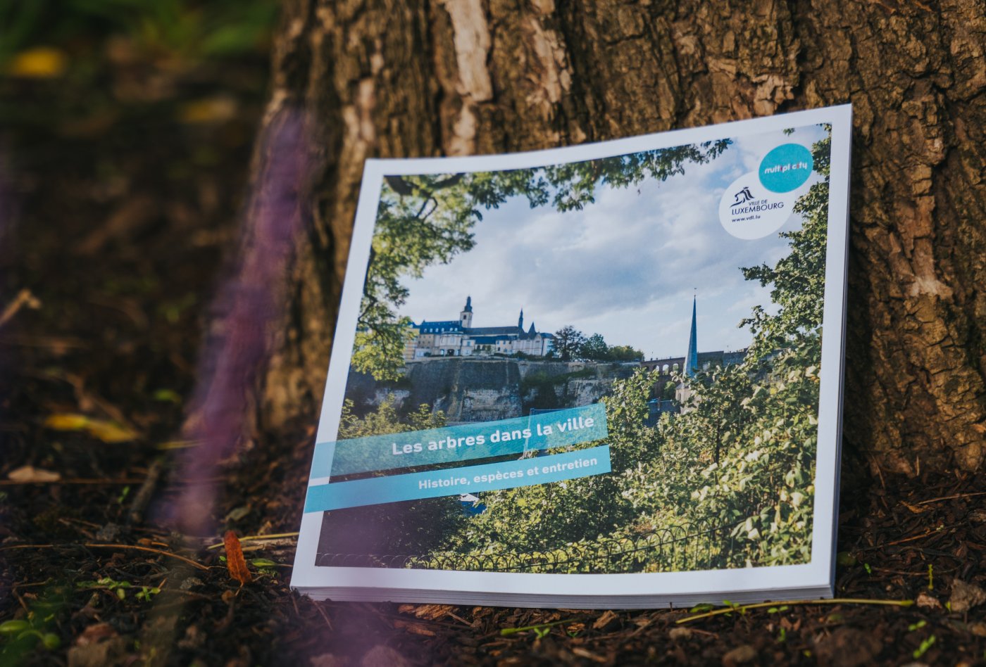 Photo de la brochure dans la nature, près d'un arbre