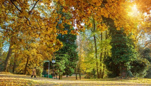 parc municipal de la Ville en automne