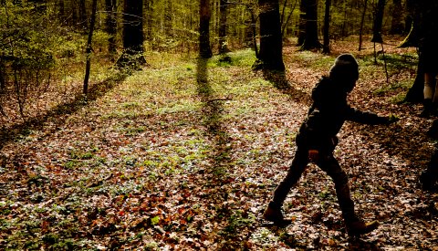 enfants jouant dans la forêt