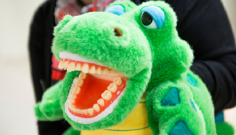 peluche d'un crocodile