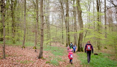 Activités enfants _ Märchenwald