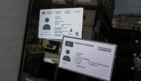 vide carte d'identité