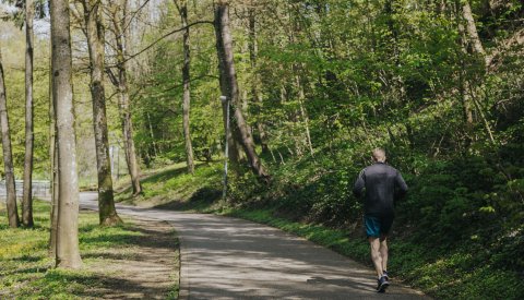 Photo d'une personne pendant une promenade en forêt