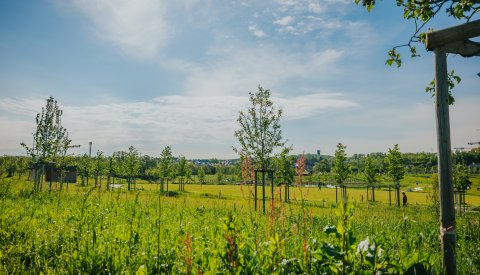 Photo du parc ban de Gasperich