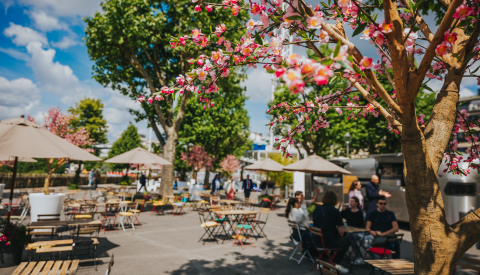 Image d'un arbre avec fleurs roses en focus et la Place de la Constitution avec des tables et chaises ainsi qu'un foodtruck en arrière-plan.