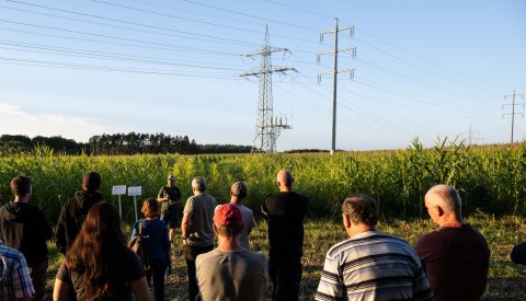 Image de quelques personnes de dos, tournés vers un champs en plein soleil