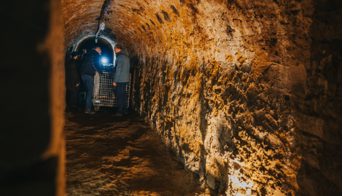 Cuvée LUGA 2025 Crémant Millésimé